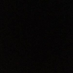 Meet your Posher, Shaun